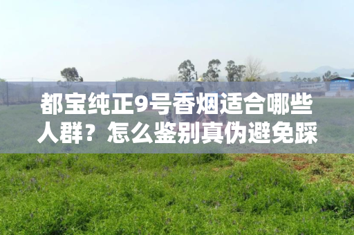 都宝纯正9号香烟适合哪些人群？怎么鉴别真伪避免踩坑？